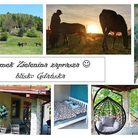 Domek Zielenina Mierzeszyn Exterior foto
